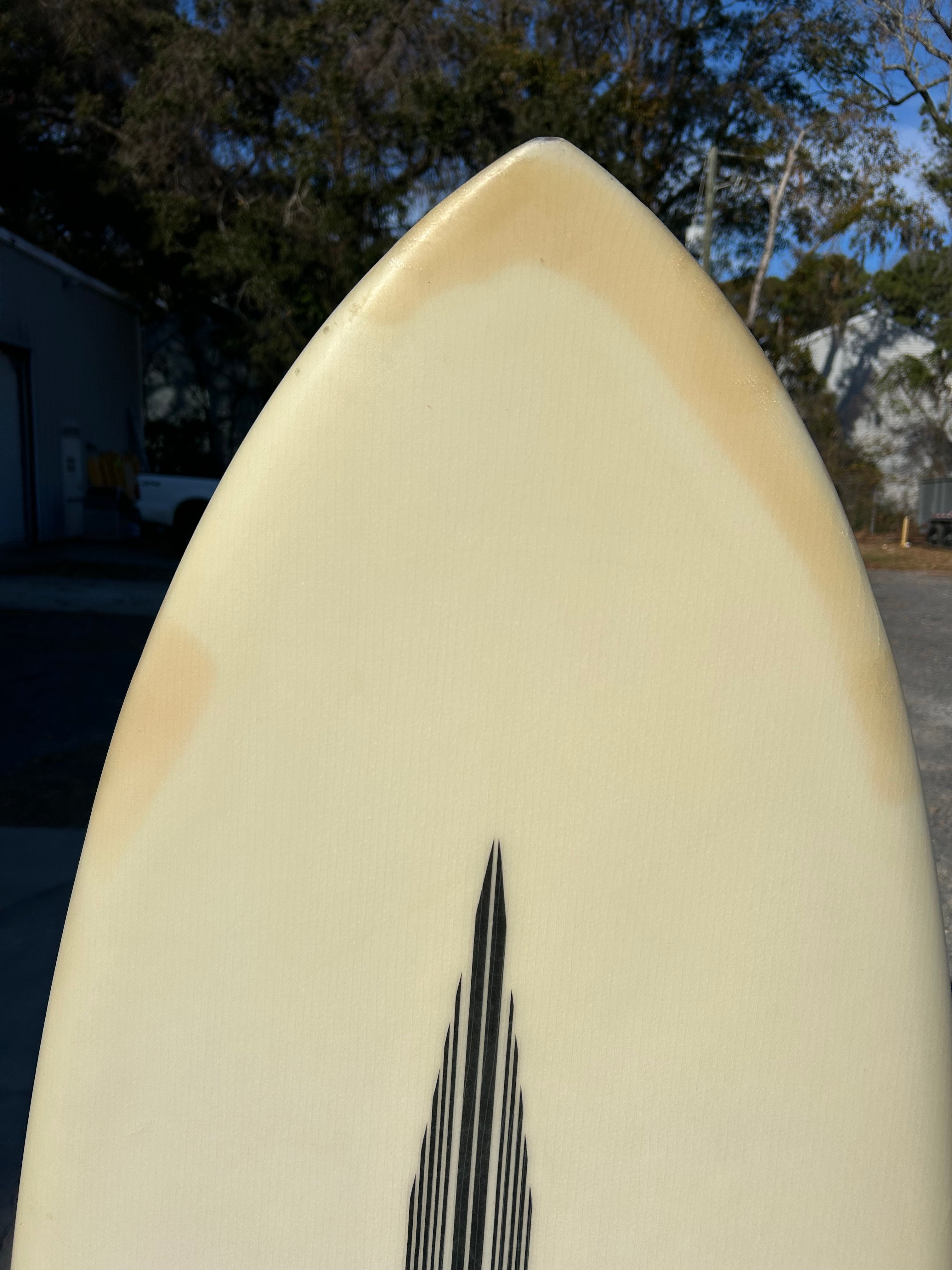 6' 0" Lost Puddle Fish