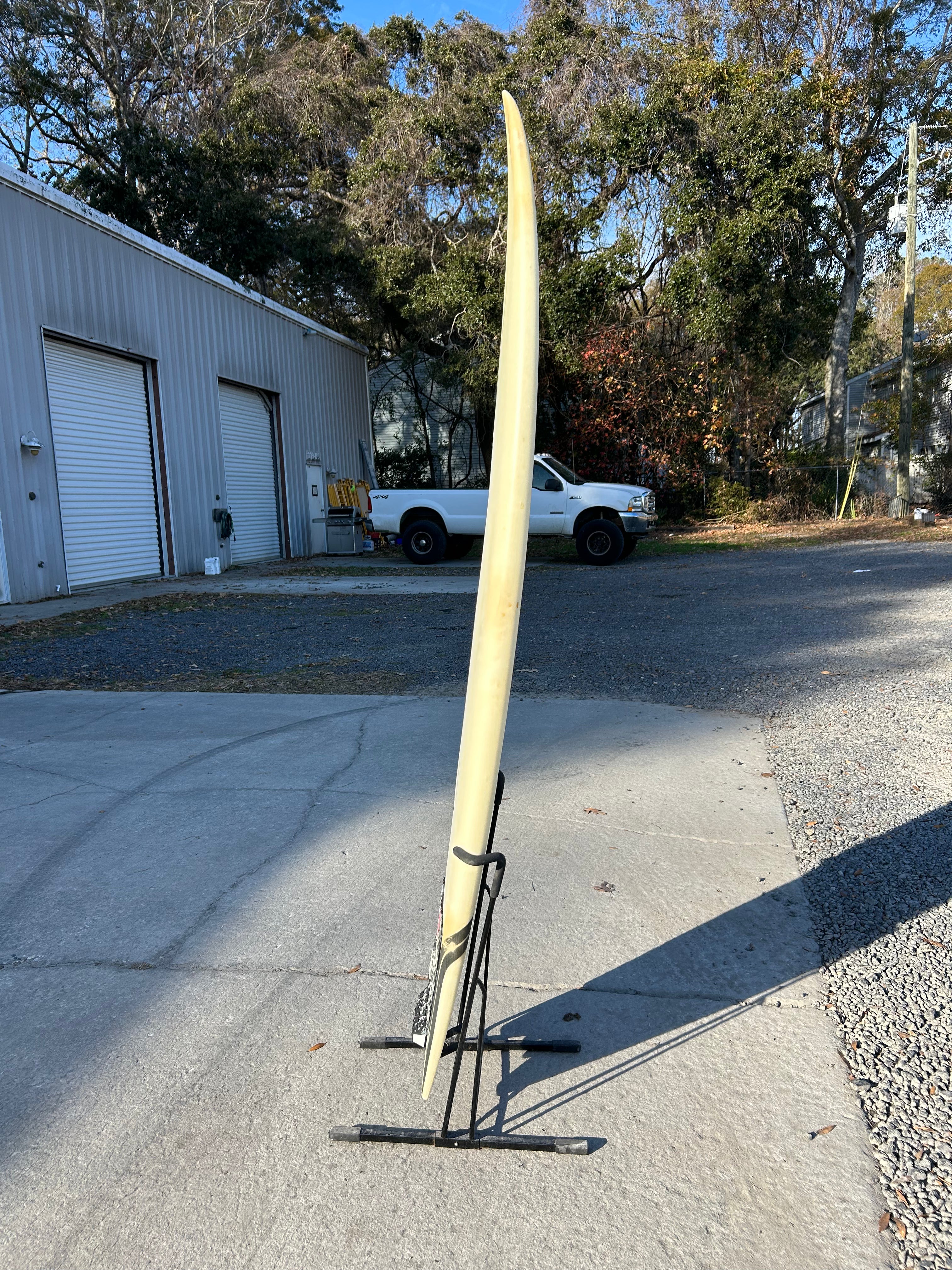 6' 0" Lost Puddle Fish