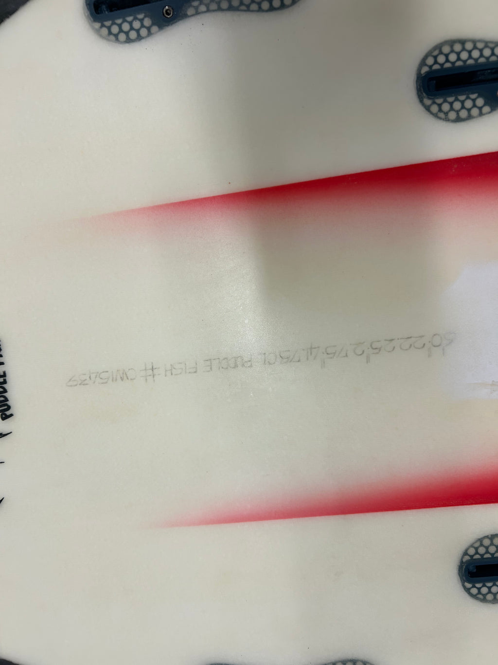 6' 0" Lost Puddle Fish