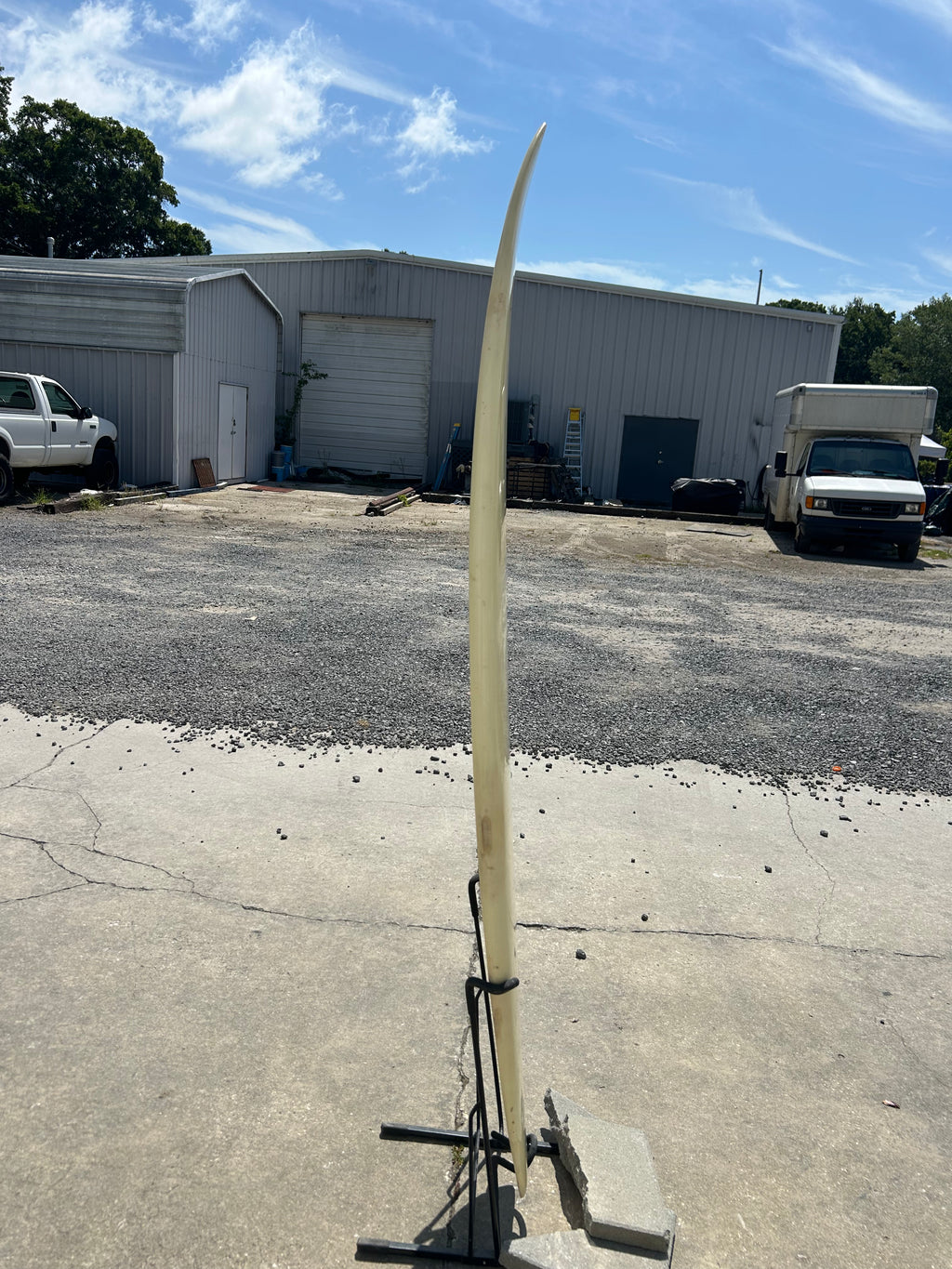 6’ 8” Gary Wilson Custom SC Fish